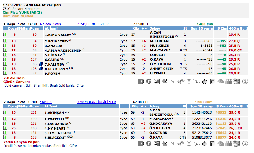 17 Eylül 2016 Cumartesi Ankara at yarışı bülteni ve tahminleri