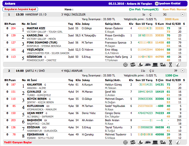 05 Kasım 2016 Cumartesi Ankara at yarışı bülteni ve tahminleri