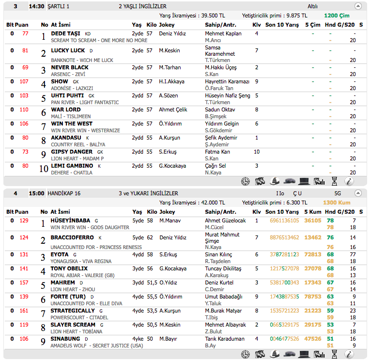 05 Kasım 2016 Cumartesi Ankara at yarışı bülteni ve tahminleri