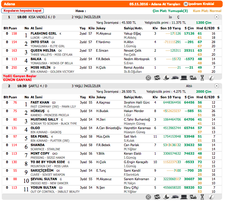 05 Kasım 2016 Cumartesi Adana at yarışı bülteni ve tahminleri