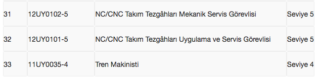 mesleki yeterlilik belgesi gereken meslekler listesi 3