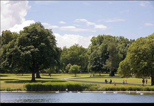hyde park nerede hadi ipucu sorusu 17 eylul soru cevabi internet haber