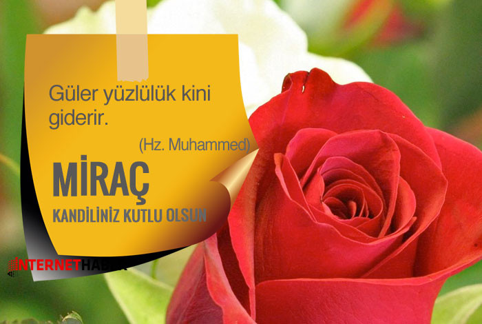 hendek in ozgur ve bagimsiz sesi