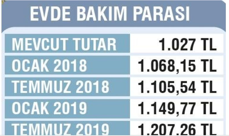 13 aralik evde bakim maasi yatan iller 7 il listede tc ile sorgulama internet haber
