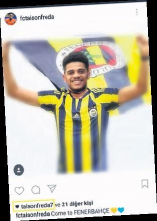 Taison