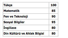 teog puan hesaplama 2016 meb
