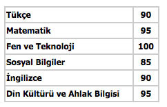 teog puan hesaplama 2016 1. dönem örnek tablo