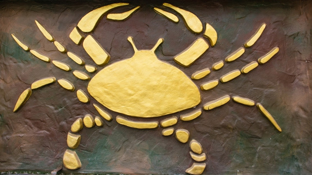 yengeç burcu 2016 yorumları