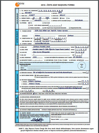 lys başvuru formu nasıl doldurulur 2016 örnek tablo