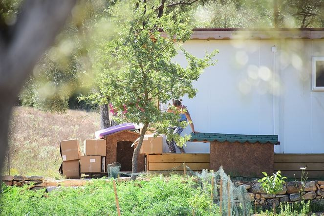 ozlem tekin nerede simdi ne yapiyor ortaya cikti son haline bakin internet haber