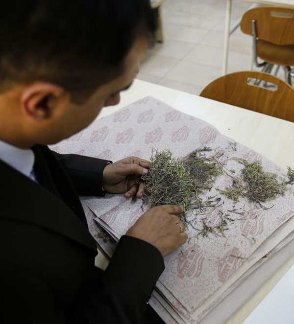 Halk havalotu diye biliyor Afyon'da bulundu adı Aziz Sancar oldu - Sayfa 2