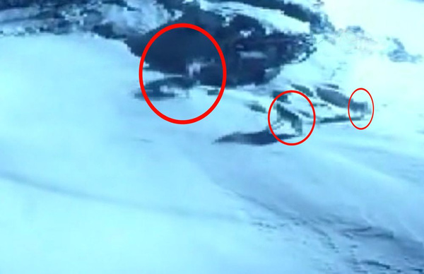 Köye inip dehşet saçtılar! Ev sahibi ayakkabısını bile giymeden dışarı koştu - Sayfa 2