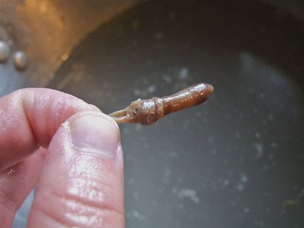 İnsanların penis kemiği ortaya çıktı dünyada bir ilk İngilizler buldu - Sayfa 4
