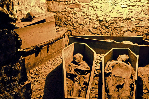 Şoke eden hırsızlık! 800 yıllık asker mumyasının başı çalındı - Sayfa 2