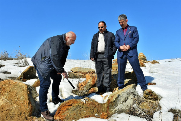 Muş'ta 11 milyon yıllık fosiller bulundu - Sayfa 2