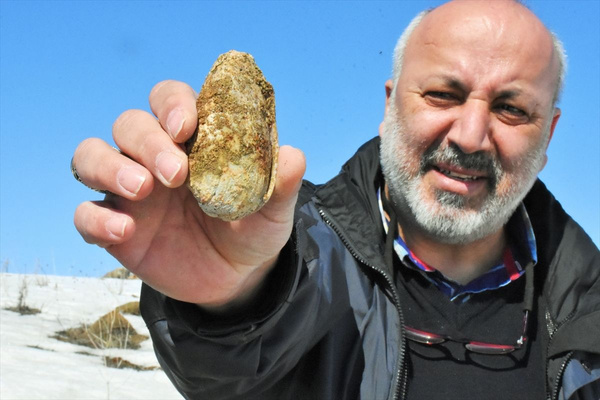 Muş'ta 11 milyon yıllık fosiller bulundu - Sayfa 3