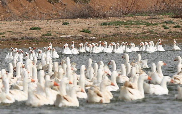 Patron olmak için işinden istifa etti! 3 ülkeye satıyor ve paraya para demiyor - Sayfa 1