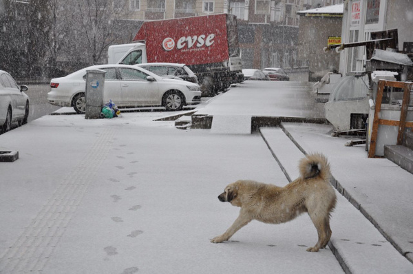 Kars’ta kara kış! Nisan ayında lapa lapa kar yağdı - Sayfa 4