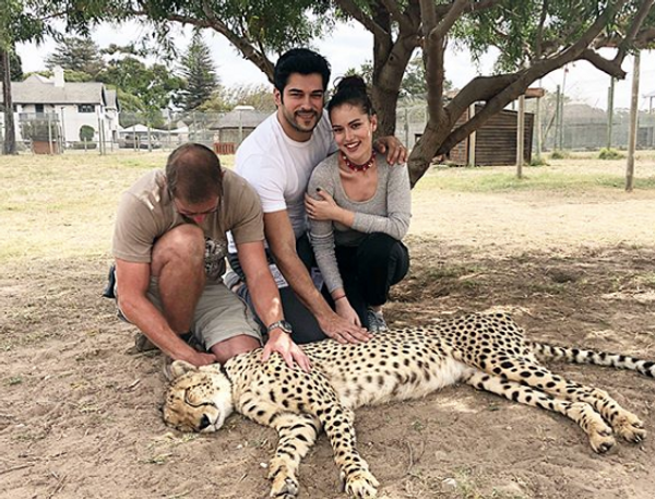 Burak Özçivit ve Fahriye Evcen'e rekor teklif! 1 haftalık bebek milyoner olacak - Sayfa 2