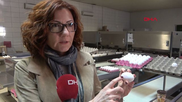 Canan Karatay'ı kızdıracak yumurta haberi - Sayfa 1
