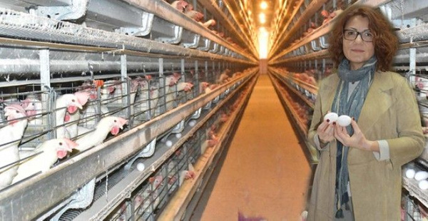 Canan Karatay'ı kızdıracak yumurta haberi - Sayfa 3