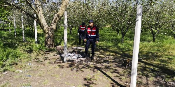 Bursa'da gencin ormanda vurulmasıyla ilgili yeni gelişme - Sayfa 1