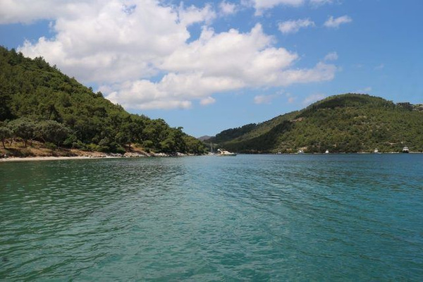 Korkunç anlar!!! Muğla'nın Bodrum ilçesinde gazeteciler ölümden döndü - Sayfa 2