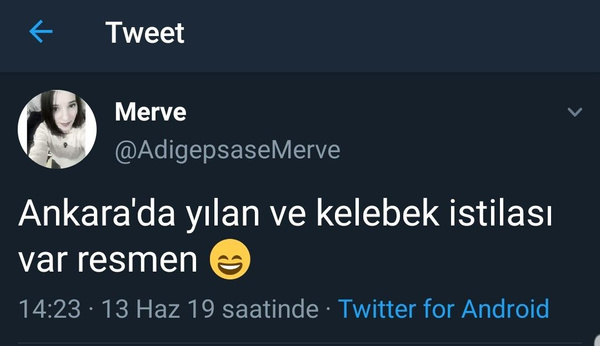 Yağışlardan sonra Ankara'yı yılanlar bastı! - Sayfa 2