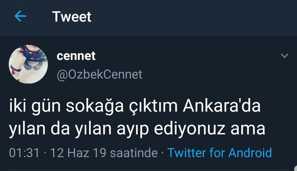 Yağışlardan sonra Ankara'yı yılanlar bastı! - Sayfa 3