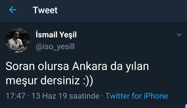 Yağışlardan sonra Ankara'yı yılanlar bastı! - Sayfa 4