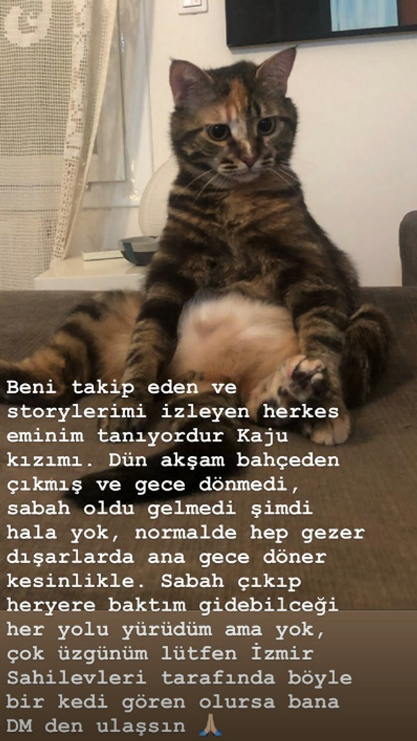 Gizem Karaca herkesten yardım istemişti! Acı haberi sosyal medyadan duyurdu - Sayfa 2