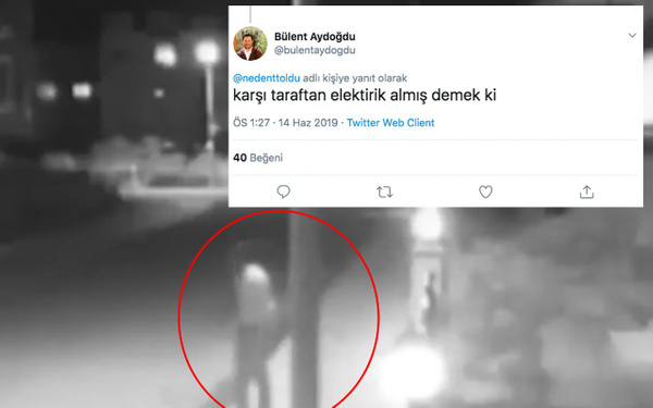 Ordu'da elektrik direğiyle cinsel ilişkiye girmeye çalışan adam infial yarattı - Sayfa 2