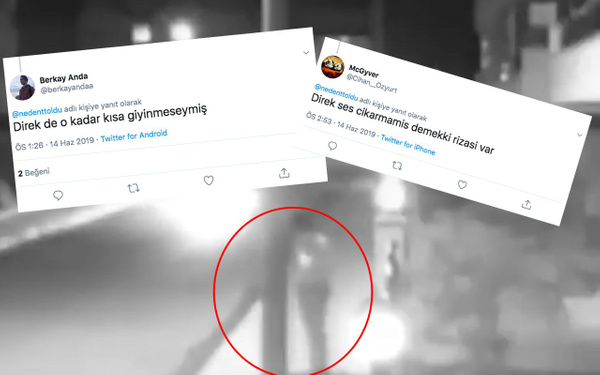 Ordu'da elektrik direğiyle cinsel ilişkiye girmeye çalışan adam infial yarattı - Sayfa 4
