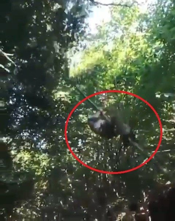 Kocaeli'de arkadaşların macera tutkusu hastanede sonlandı - Sayfa 1