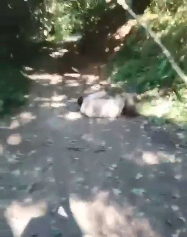 Kocaeli'de arkadaşların macera tutkusu hastanede sonlandı - Sayfa 3