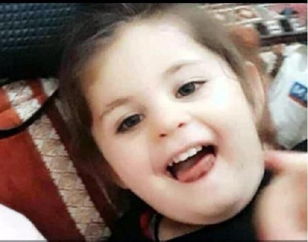 Leyla Aydemir'in ölümün ardından yürek yakan gerçek! Bakın katiller neler yapmış - Sayfa 2