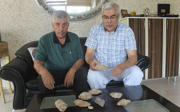 Kahramanmaraş'ta 35 milyon yıllık fosil bulundu - Sayfa 2