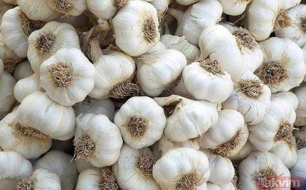 Her gün 6 diş sarımsağı pişirip yerseniz - Sayfa 2