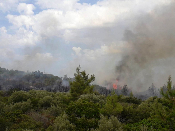 Muğla'da yeni yangın! Yerleşim yerlerini tehdit ediyor - Sayfa 1