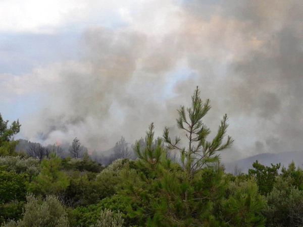 Muğla'da yeni yangın! Yerleşim yerlerini tehdit ediyor - Sayfa 2
