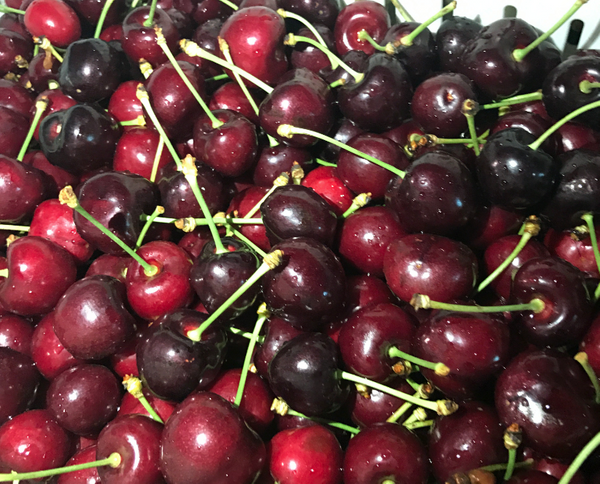 Türkiye tarihinde ilk kez vize alındı! Çin'e rekor sayıda gönderildi - Sayfa 1