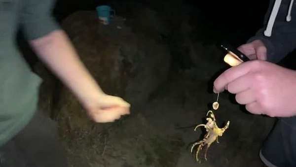 30 insanı aynı anda öldürebilen ahtapotu çıplak teninde gezdirdi - Sayfa 4