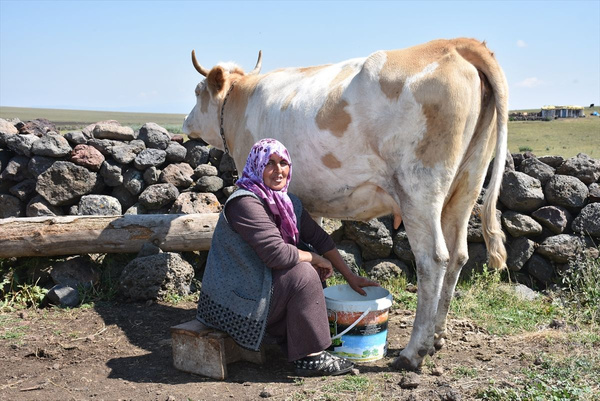 Çeçil peyniri nasıl yapılır Kars yaylalarındaki görüntülere bakın - Sayfa 4