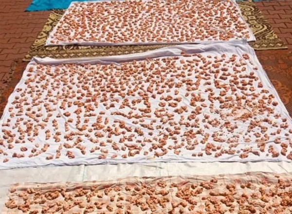 Faydası saymakla bitmiyor' 'Zayıflamak için tercih ediliyor' Nallıhan’da tarhana ayı başladı - Sayfa 2