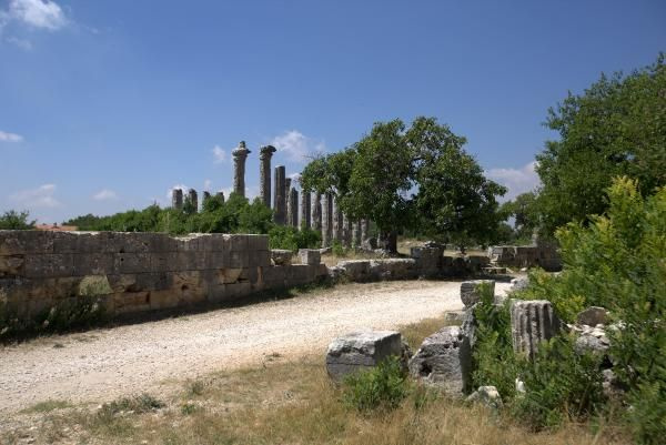 Diocaesarea Antik Kenti'nin dini merkezi Zeus'a adanan tapınak gün yüzüne çıkarılıyor! - Sayfa 3