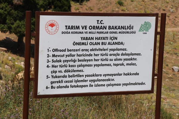 Dünyada sadece Tavas ilçesinde görülüyor Denizli'de seferberlik ilan edildi - Sayfa 3