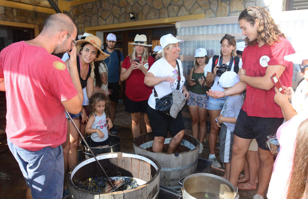 Muğla'da turistler akın etti ayakkabılarını çıkarıp işe giriştiler - Sayfa 3