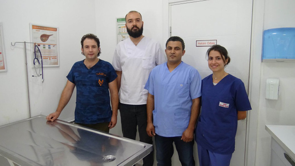 Japon balığına dev operasyon başındaki büyük tümör alındı - Sayfa 2