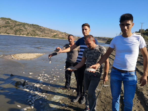 Bursa Boğazköy Barajı'nda kıyıya vuran ölü balıklar tedirgin etti - Sayfa 3