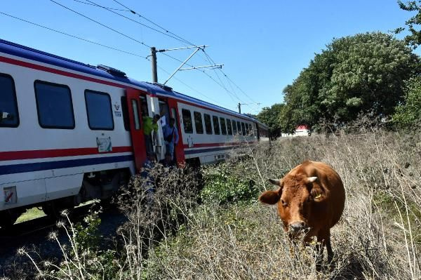 Tekirdağ'da korkunç kaza! Hayvanlarını kurtarmak isterken feci can verdi - Sayfa 4